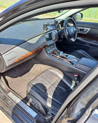 Jaguar XF cena 7800 przebieg: 150437, rok produkcji 2010 z Lesko małe 154